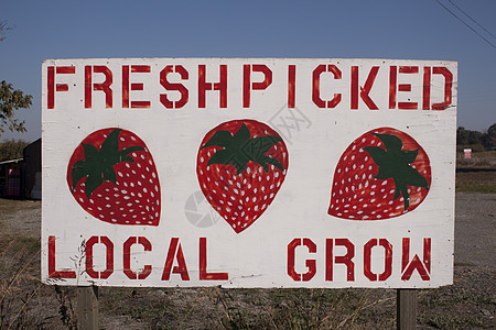 当地种植的草莓标志牌天空红色水果农产品美食摄影蓝色食物纸板里程背景图片