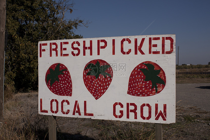 当地种植的草莓标志牌红色农产品里程美食摄影蓝色水果天空纸板食物图片