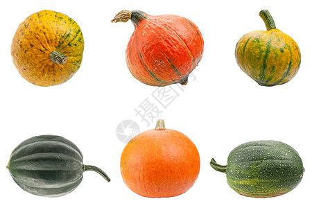 在白色背景中孤立的多彩南瓜黄色蔬菜绿色葫芦植物生态食物水果橙子摄影图片