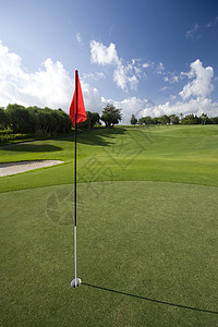 高尔夫绿色 Golf Green旗帜旗杆树木球道高尔夫球图片
