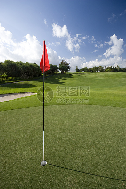高尔夫绿色 Golf Green旗帜旗杆树木球道高尔夫球图片