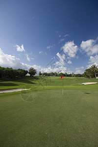 高尔夫绿色 Golf Green旗杆树木球道高尔夫球旗帜图片