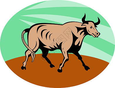 长角公牛充电奶牛收费愤怒长角牛插图哺乳动物库存喇叭野生动物动物图片