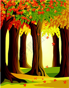 秋季森林背景丛林框架耀斑墙纸橙子季节插图桌面海浪横幅背景图片