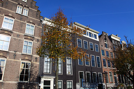 阿姆斯特丹的房屋建筑运河风格旅行住宅历史山墙天空特丹战线旅游图片