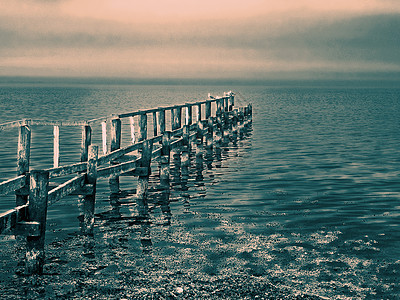 木架脚桥数字艺术的美丽海景海鸥海洋孤独小路天空木头全景波浪海岸天桥图片