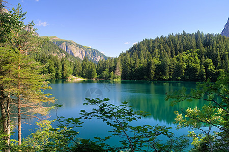 托福湖湖树木反射镜子顶峰风景环境森林晴天岩石生态图片