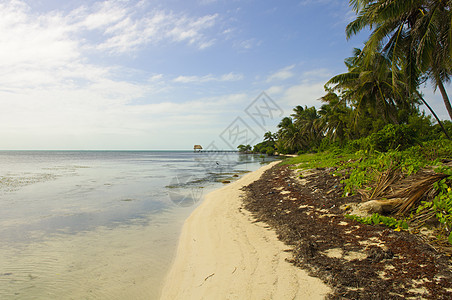 伯利兹加勒比海滩图片