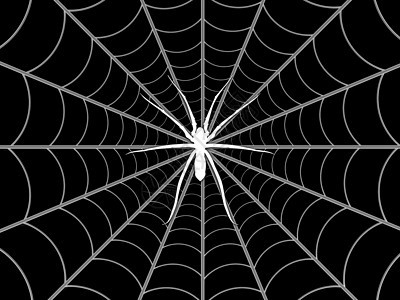 蜘蛛和网漏洞昆虫插图白色动物黑色网络背景图片