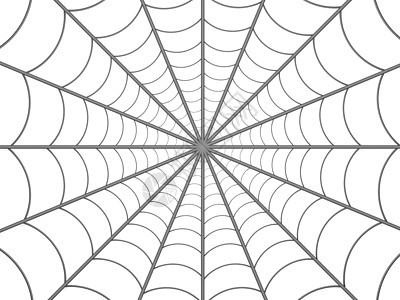 蜘蛛网艺术线条插图白色艺术品蜘蛛网络背景图片