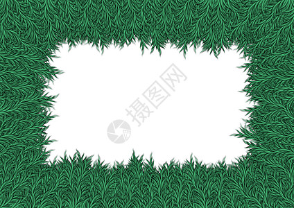 森林框架植物插图花园边框树叶绿色图片