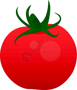 红番茄营养味道饮食藤蔓厨房团体插图食物美食水果图片