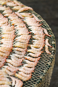中华文化中的干虾图片