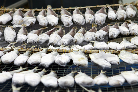 中华文化中的干鱼太阳食物环境寿司旅行街道烹饪生活绳索海洋图片