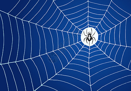 蜘蛛和蜘蛛网说明图片