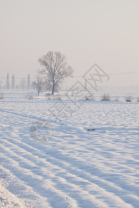 下雪景自然天气天空高地降雪照明季节全景森林童话图片