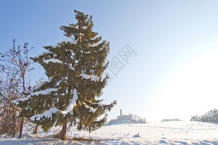 树环境降雪假期季节童话全景雾凇天空太阳阳光图片