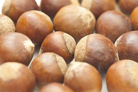 白背景孤立的栗子浆果生活荒野饮食坚果熟食植物群水果小吃销售图片