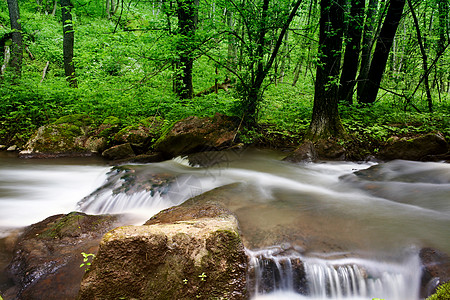 河边石头瀑布岩石季节木头绿色森林石头溪流生态公园荒野背景