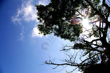 阳光照耀的蓝天空季节高清图片素材