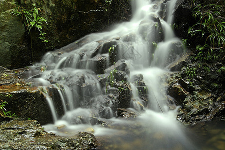 森林的瀑布山脉热带太阳石头溪流叶子旅行流动蓝色花园图片