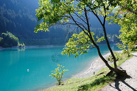 蓝湖绿色季节海岸线阳光蓝色土地自然旅行闲暇国家图片