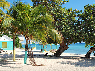 开曼群岛大开曼岛公共海滩背景图片