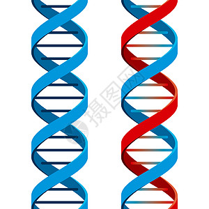 无缝DNA染色体微生物学医学绘画红色科学医疗保健生活生物图片
