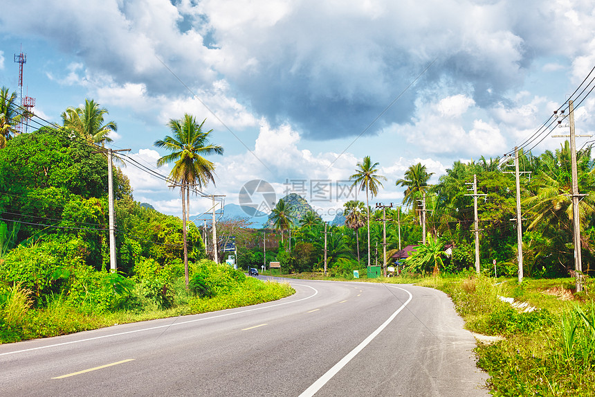 泰国公路网泰国高速公路风景椰子旅行棕榈森林季节国家小路丛林晴天图片