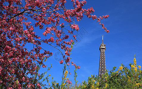 巴黎之春图片