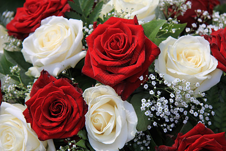 白玫瑰和红玫瑰 在花束中花瓣植物群绿色植物玫瑰花店白色花朵背景