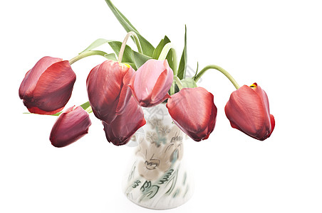 花瓶中的图lips礼物郁金香树叶白色绿色花朵红色图片