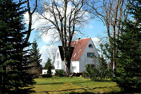 房子和森林绿色生活白色建筑玻璃天堂公寓蓝色天空建筑学图片