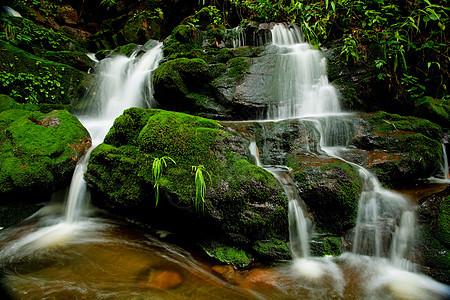 森林的瀑布木头旅行苔藓热带美丽溪流环境运动季节风景图片