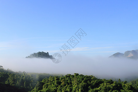 泰国山上大气的清晨气氛车道森林植物高地场地纹理种植园叶子情绪图片