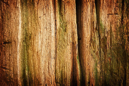 木木型样硬木风化材料艺术木头棕色墙纸宏观黑色木材图片
