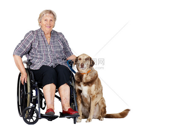 与狗一起坐轮椅的老年妇女图片