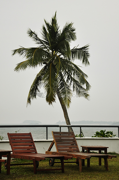 在度假胜地棕榈树旁的两片防晒霜娱乐假期海滩酒店海洋旅行阳光晴天天空风景图片