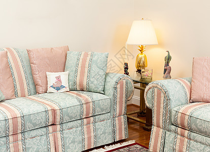 配沙发的现代客厅房子枕头长椅地面休息室桌子地毯奢华风格住宅图片