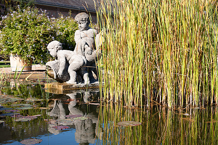 荷花雕塑公园中的小池塘花园芦苇荷花池塘晴天水平雕塑甘蔗雕像白色背景