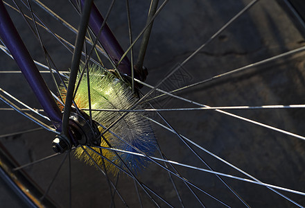 日光自行车话筒背景图片