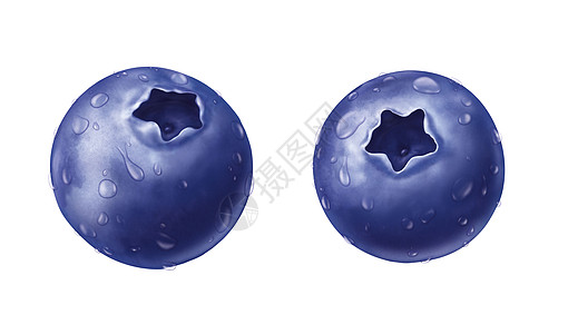 水滴矢量含白底蓝莓的多汁淡水水滴背景