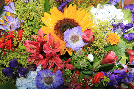 彩色混合花束花朵花店植物作品植物学阵雨黄色水滴花瓣紫色图片