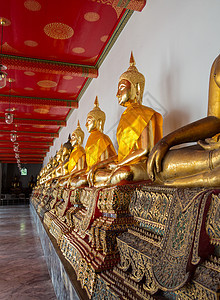 花浦寺布达一排的佛像旅行雕像旅游地标遗产建筑宗教历史性金子寺庙图片