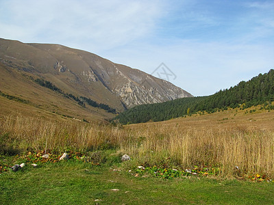 高加索山脉高地岩石旅行旅游山脉植物群高山宽慰植被爬坡图片