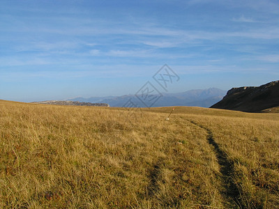 高加索山脉旅游全景路线宽慰草甸石头植被木头山峰植物群图片