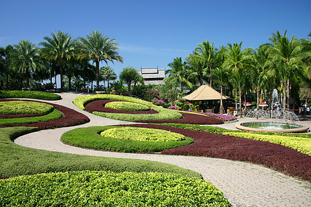 热带热带花园花朵天空旅游露台树木园艺棕榈公园植物学植物图片