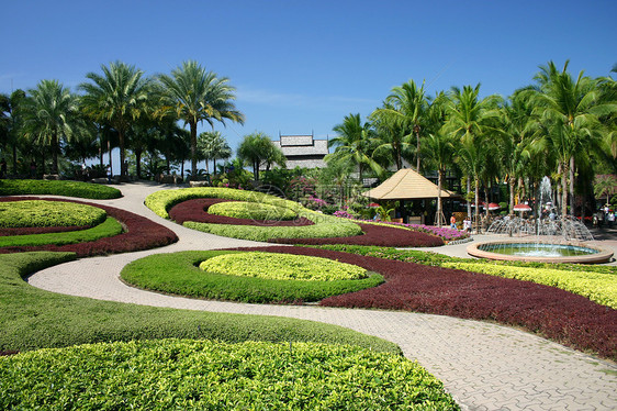 热带热带花园花朵天空旅游露台树木园艺棕榈公园植物学植物图片