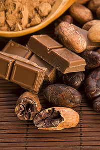 可可可可豆和巧克力厨房香料粮食美味扁豆核心甜点美食糖果种子图片