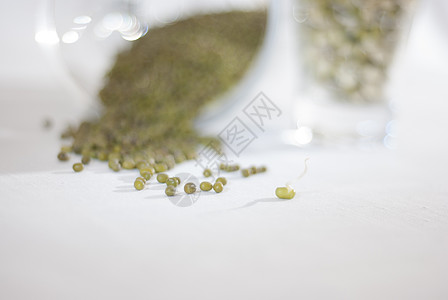 蒙比豆芽维生素烹饪营养素发芽豆类生活方式玻璃营养生食食物图片